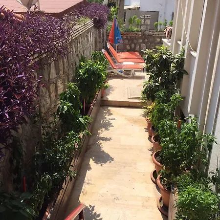 Dream 2* 马尔马里斯